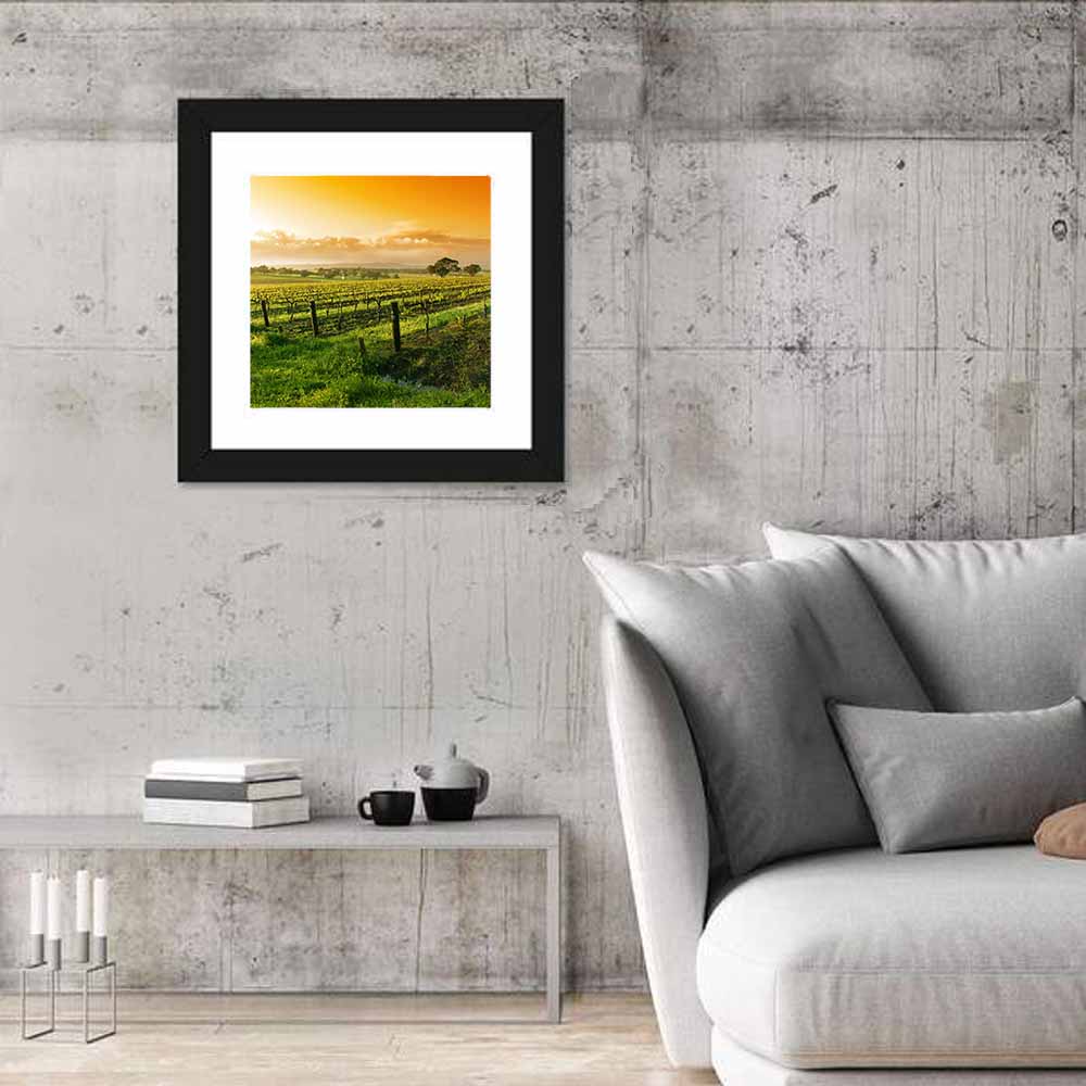Barossa Valley Vineyard at Sunrise Wall Art