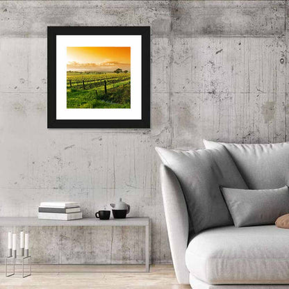 Barossa Valley Vineyard at Sunrise Wall Art