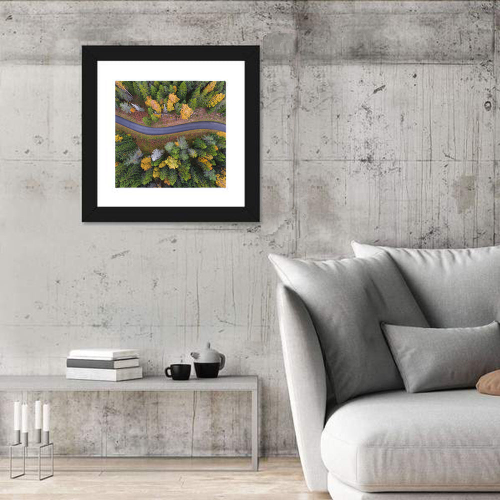 Aerial Autumn Forest Road Wall Art