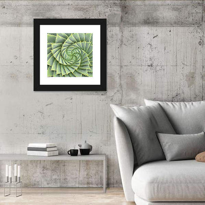 Spiral Aloe Close-up Wall Art