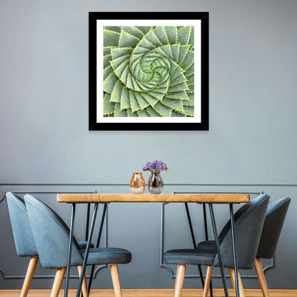 Spiral Aloe Close-up Wall Art