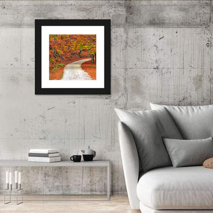 Misty Gravel Path Through Autumn Trees Wall Art