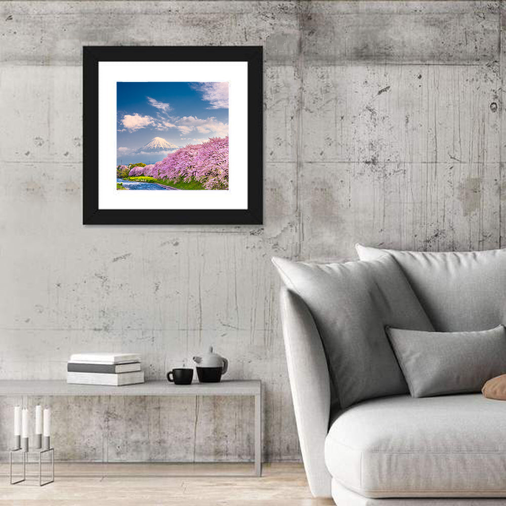 Mount Fuji Cherry Blossoms Wall Art in a room, square