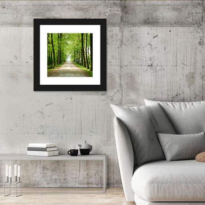 Sunlit Tree-lined Path Wall Art