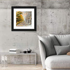 Autumn to Winter Forest Path Wall Art