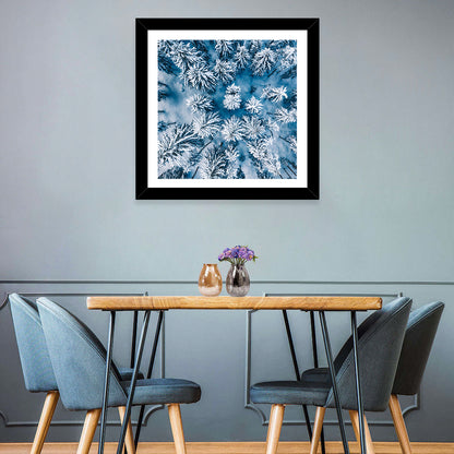 Aerial Snowy Evergreen Canopy Wall Art