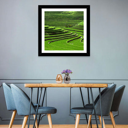 Lush Rice Terraces Wall Art