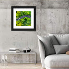 Winding Tropical Forest Road Wall Art