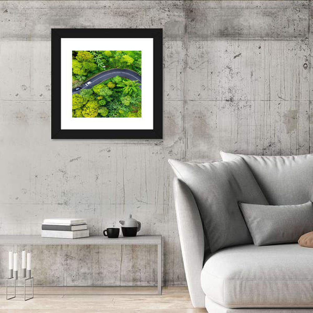 Winding Tropical Forest Road Wall Art