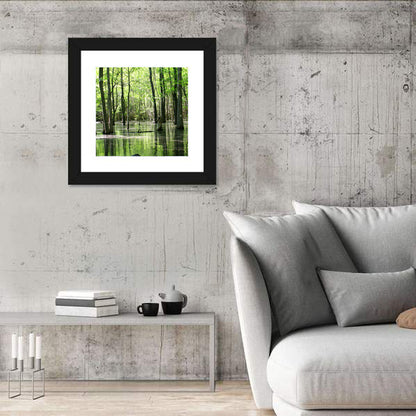 Sunlit Swamp Forest Wall Art