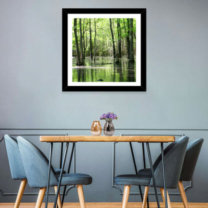 Sunlit Swamp Forest Wall Art