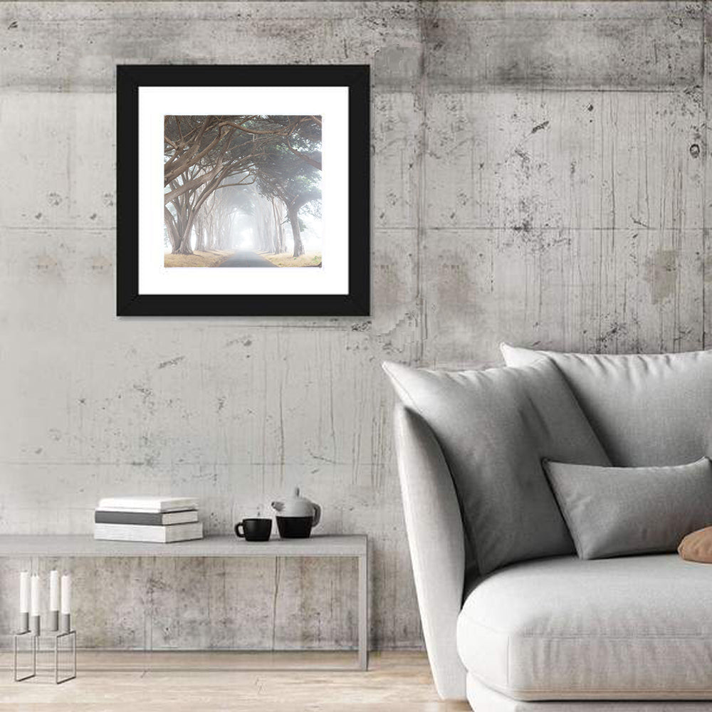 Misty Cypress Tunnel Wall Art