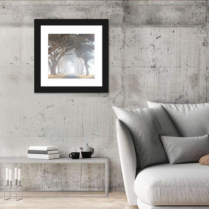 Misty Cypress Tunnel Wall Art