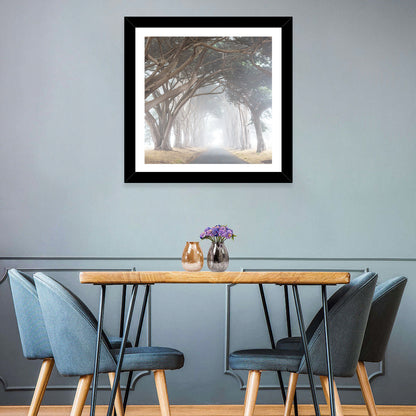 Misty Cypress Tunnel Wall Art
