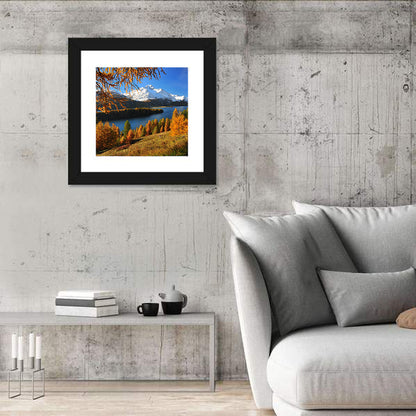 Silsersee Larches and Swiss Alps Wall Art