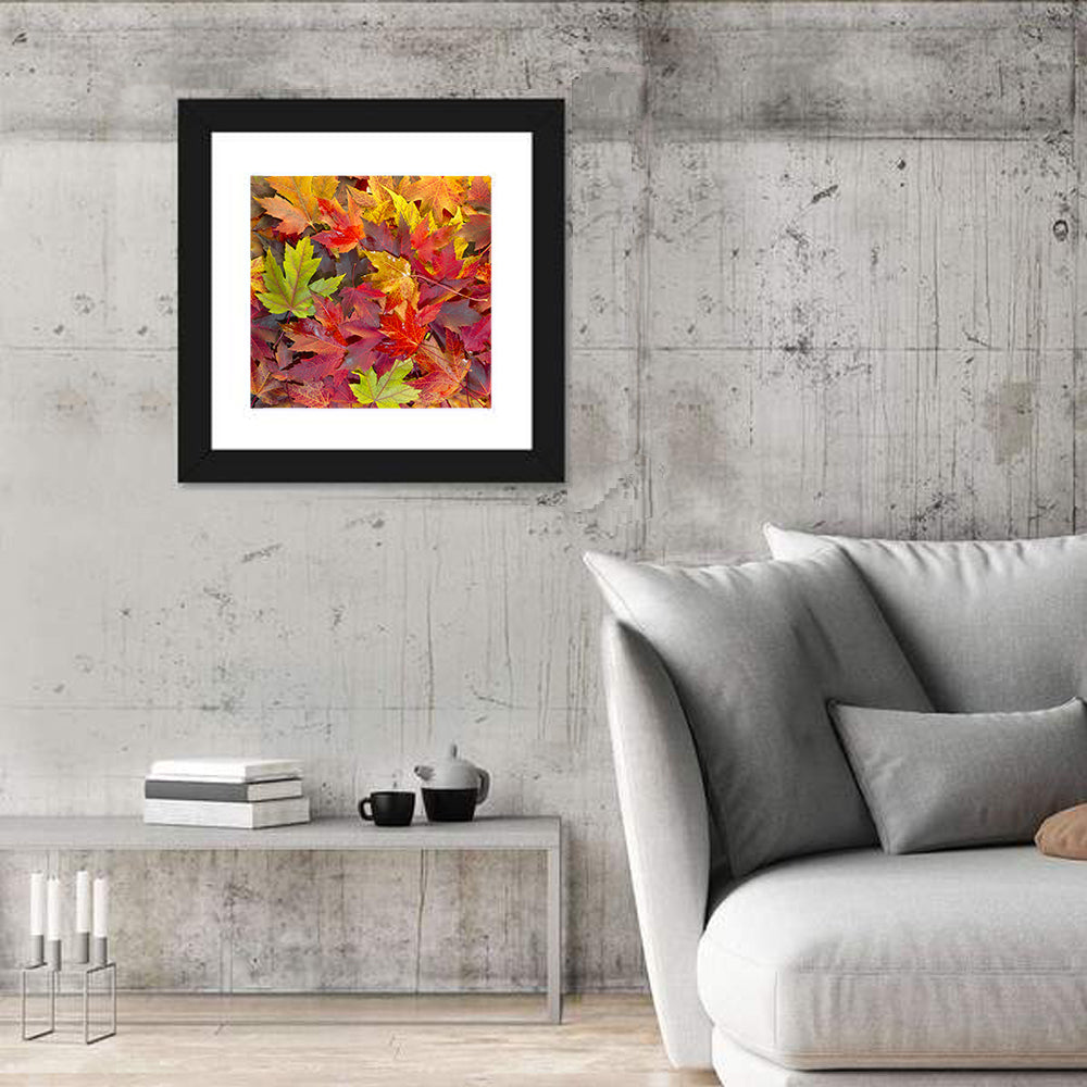 Autumn Maple Leaves Close-up Wall Art