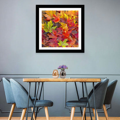 Autumn Maple Leaves Close-up Wall Art