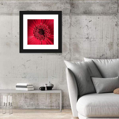 Red Gerbera Daisy Macro Close Up Wall Art
