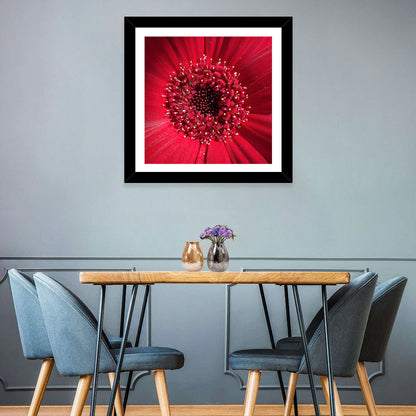 Red Gerbera Daisy Macro Close Up Wall Art