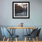 Caddo Lake Morning Mist Wall Art