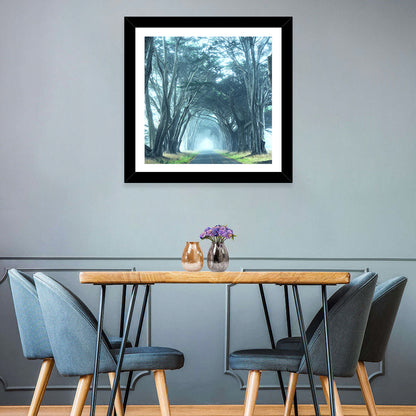 Foggy Cypress Tree Tunnel Wall Art