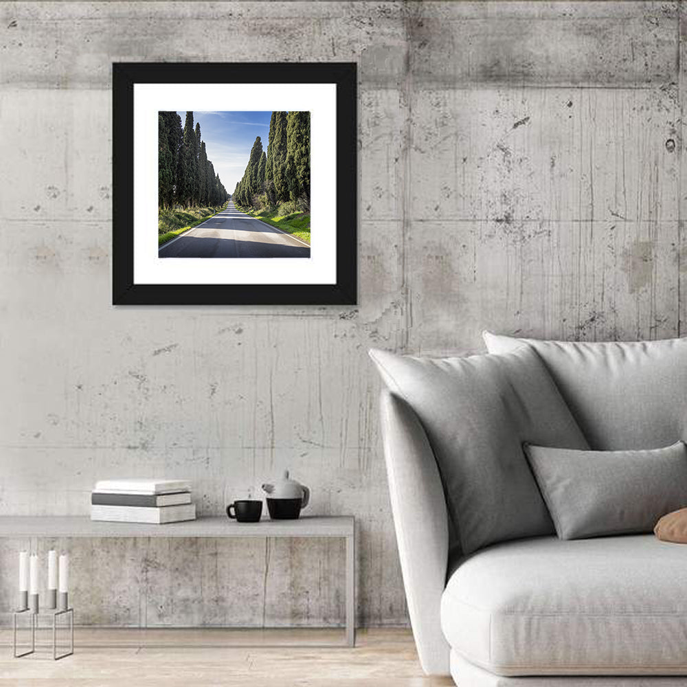 Cypress Trees Avenue Wall Art