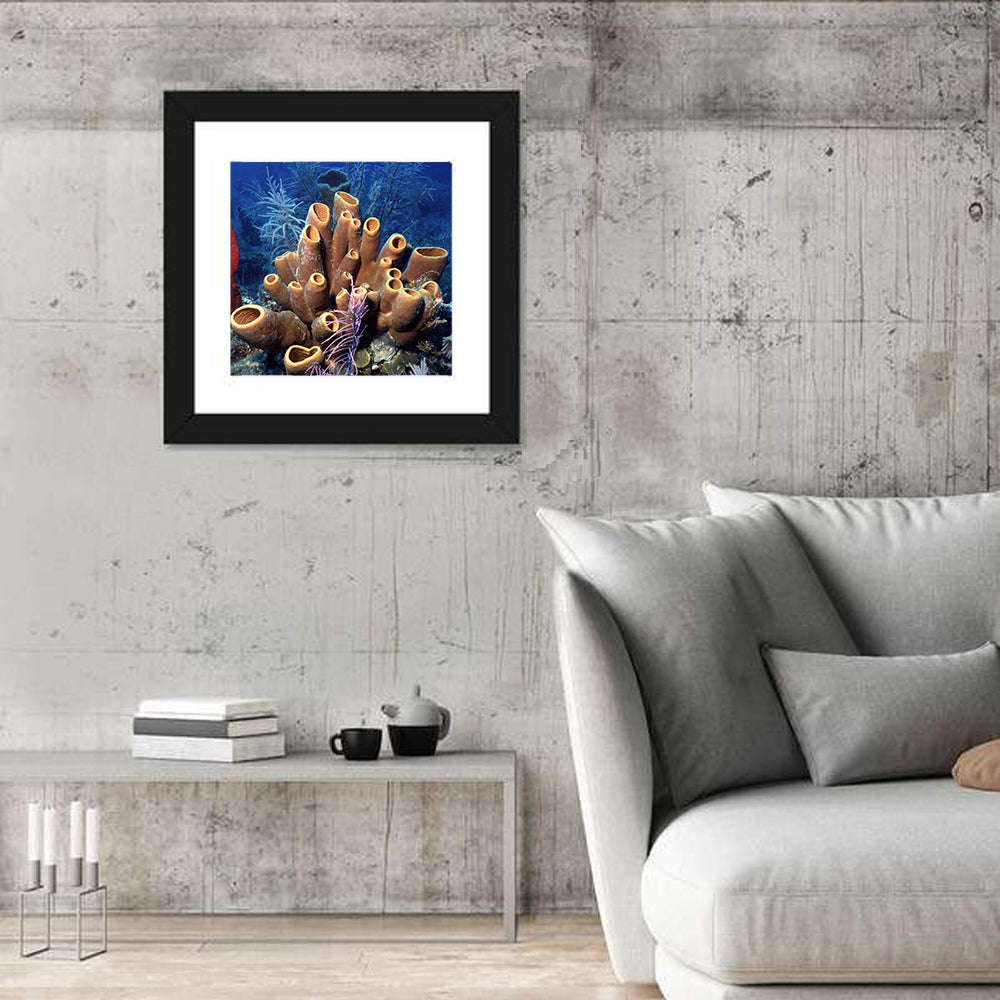 Belize Reef Sponge Scene Wall Art