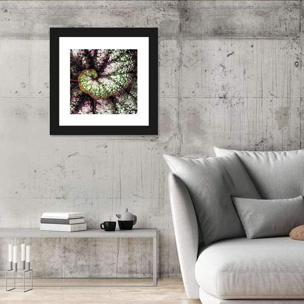 Begonia Leaf Spiral Geometry Wall Art