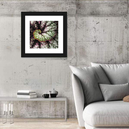 Begonia Leaf Spiral Geometry Wall Art