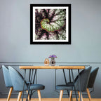 Begonia Leaf Spiral Geometry Wall Art