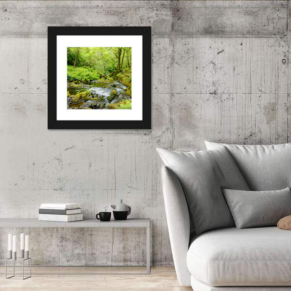 Mossy Stream Through Forest Wall Art