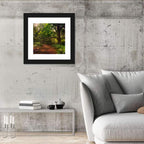 Sunlit Forest Trail Wall Art