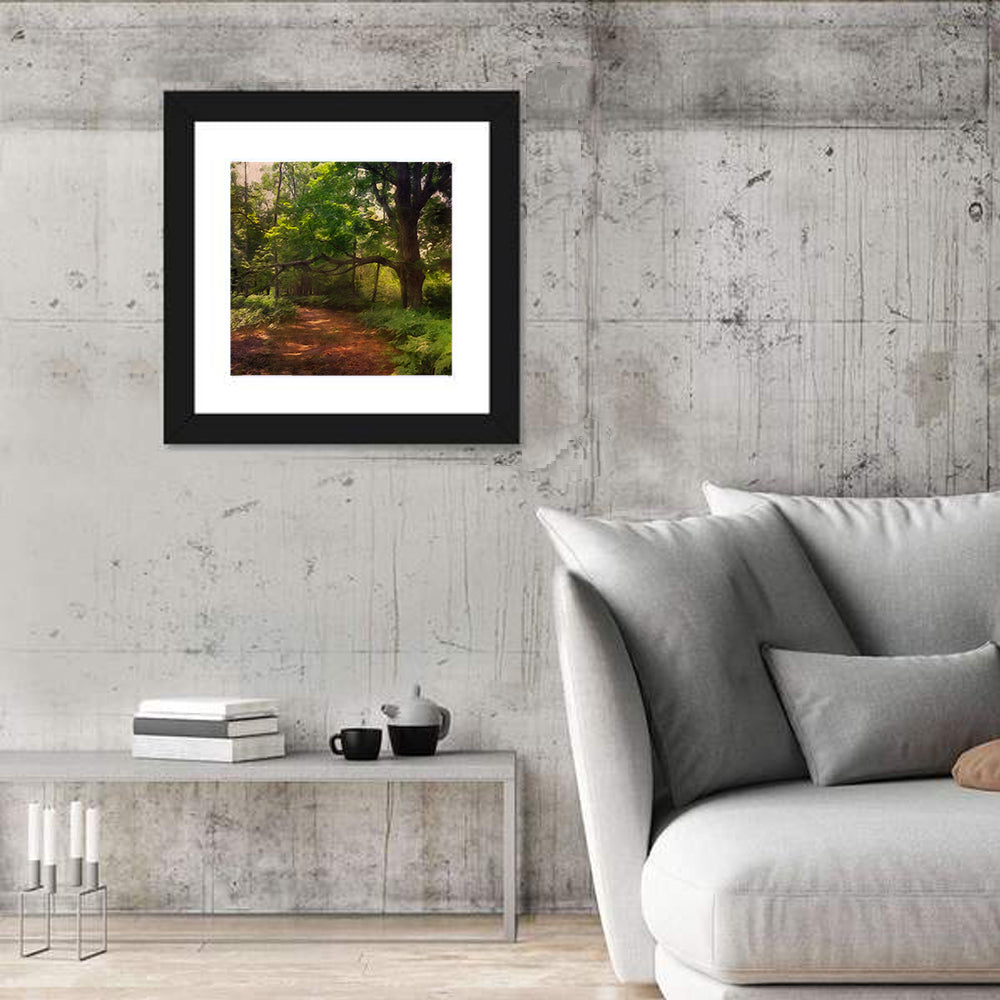 Sunlit Forest Trail Wall Art