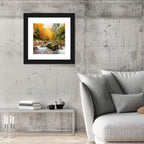 Forest Stream in Autumn Wall Art