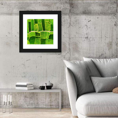 Verdant Rice Terrace Grid Wall Art
