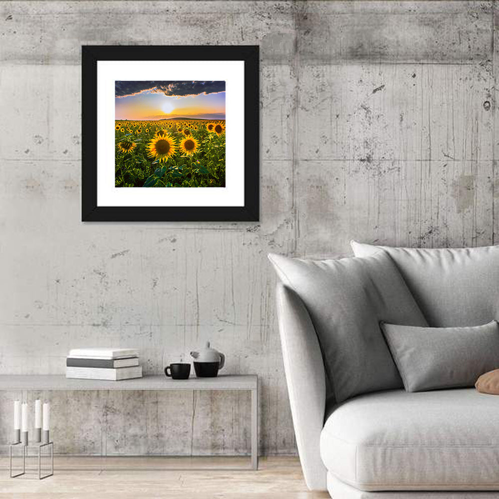 Field of Sunflowers Wall Art
