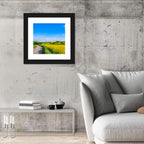 Rapeseed Field Road Under Blue Sky Wall Art