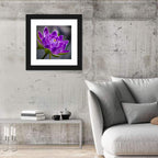 Purple Water Lily Close-up Wall Art