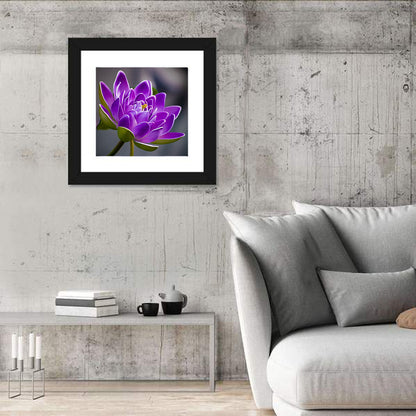 Purple Water Lily Close-up Wall Art