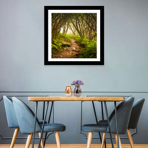 Craggy Gardens Hiking Trail Wall Art