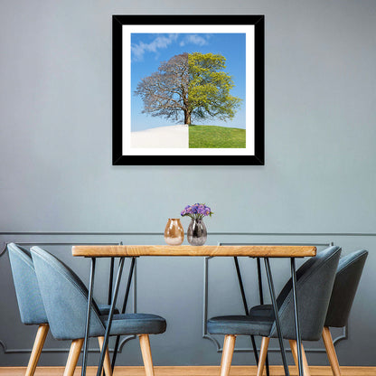 Split Season Tree Landscape Wall Art