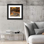 S-curve Road Through Autumn Forest Wall Art