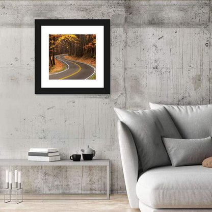 S-curve Road Through Autumn Forest Wall Art