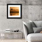 Savanna Sunset Acacia Silhouettes Wall Art