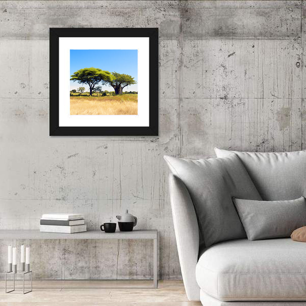 Acacia and Baobab Trees Wall Art