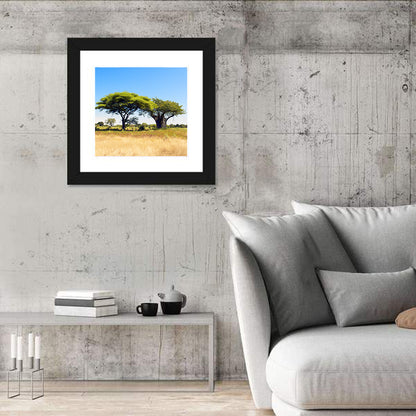 Acacia and Baobab Trees Wall Art