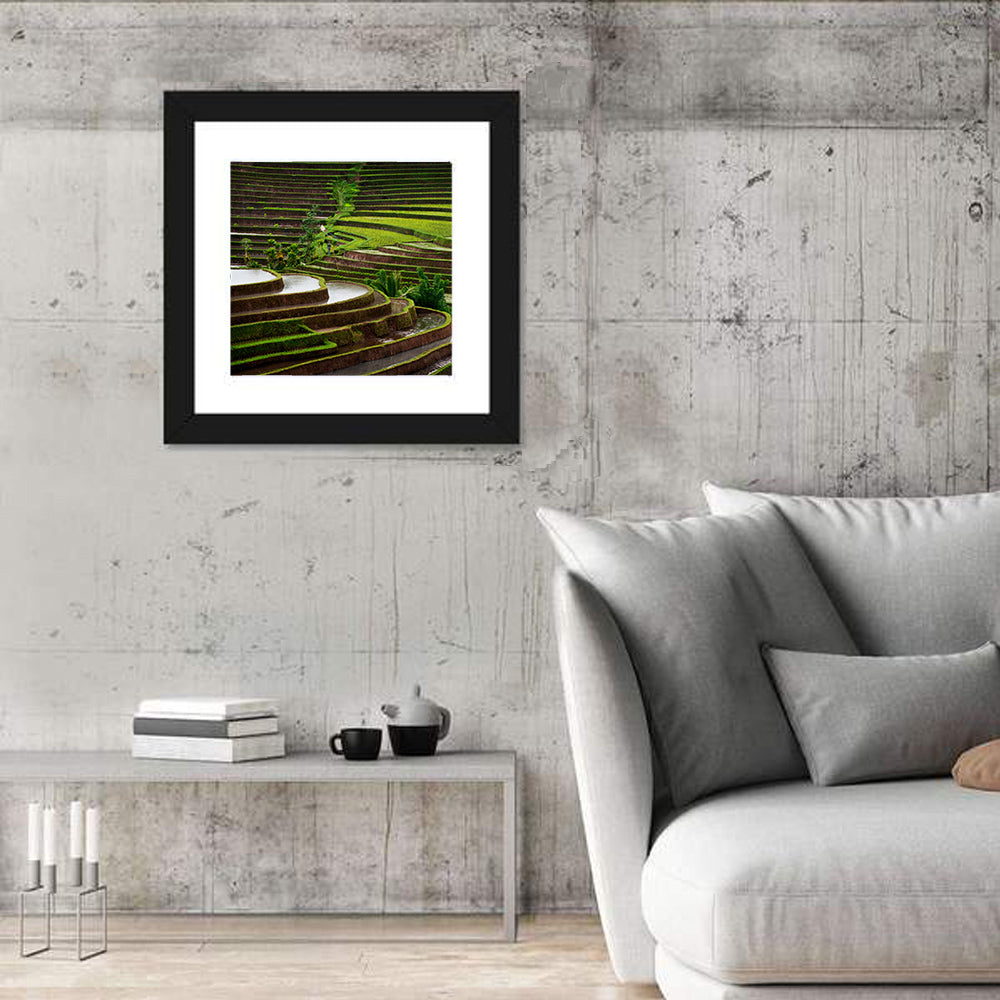Lush Rice Terraces Wall Art