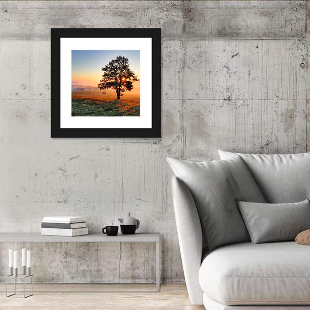 Misty Meadow Sunrise with Lone Tree Wall Art