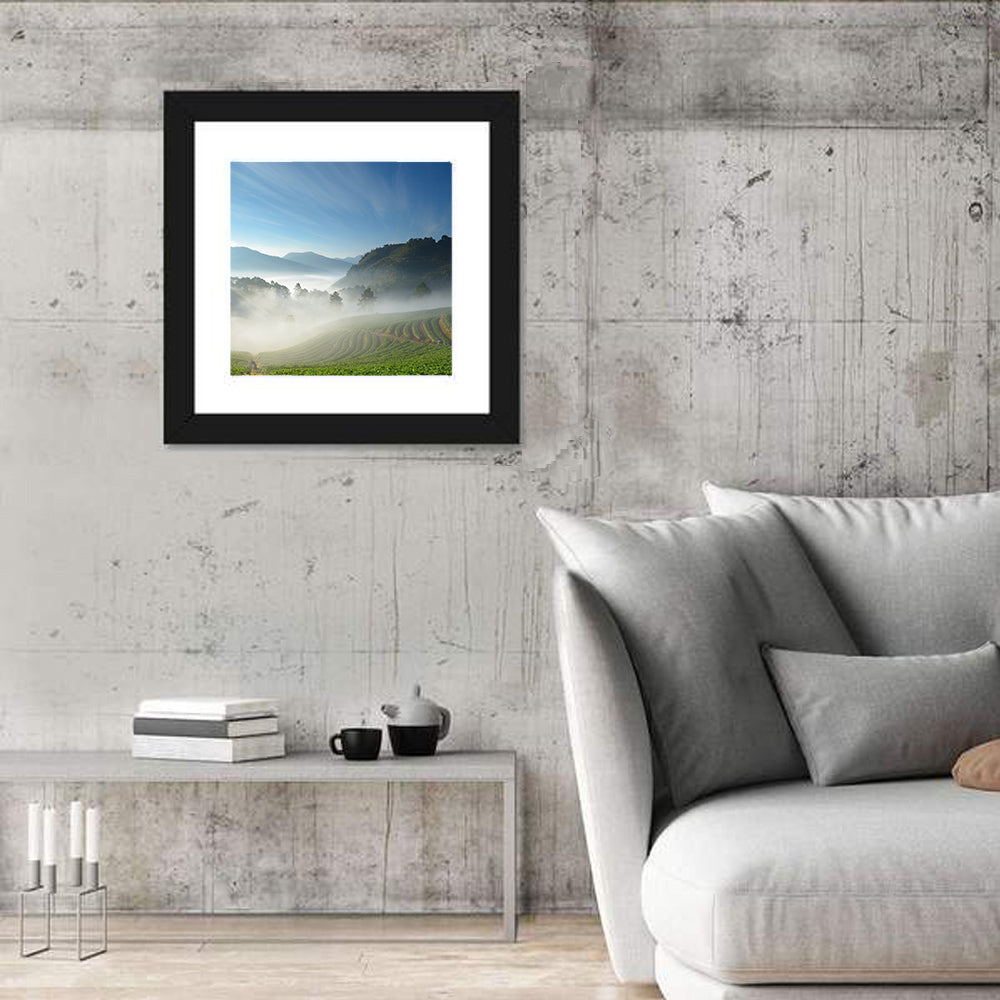Sunlit Terraced Tea Hills Wall Art
