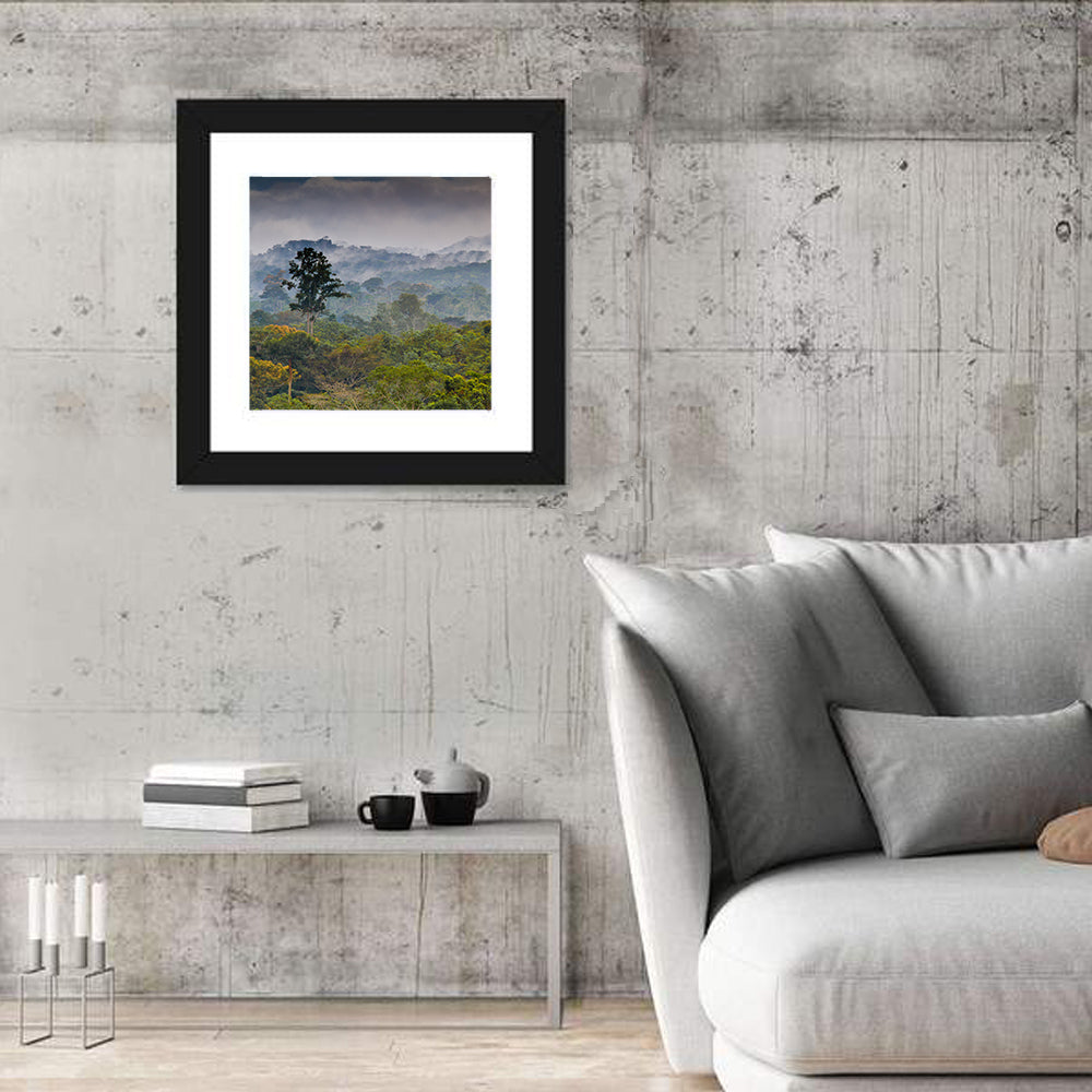 Guinea Rainforest Landscape Wall Art